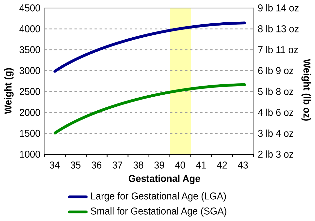 Birth Weight Chart