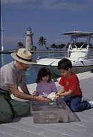 Biscayne National Park V-boca chita touch tank.jpg