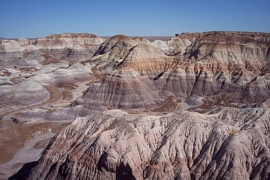 Painted Desert with logs of petrified wood, Petrified Forest National Park