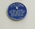 wikimedia_commons=File:Blue_plaque_Peter_O'Connor.png