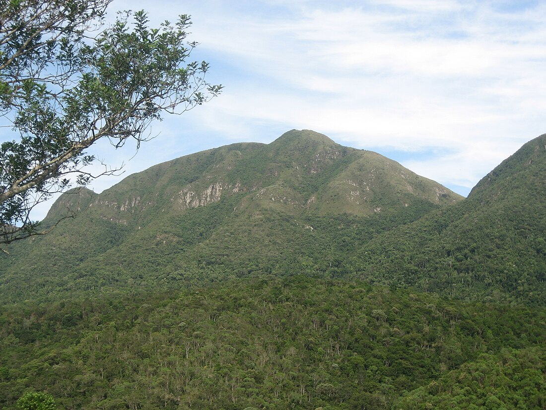 Bocaiúva do Sul