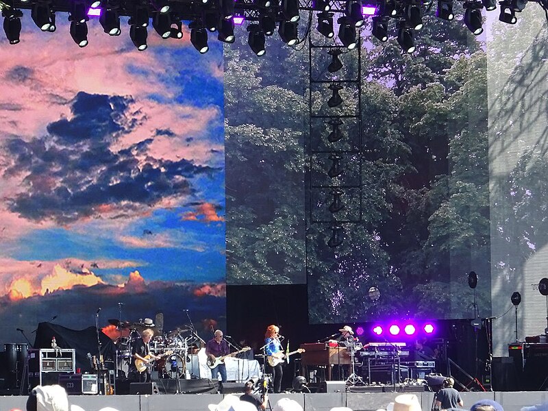 File:Bonnie Raitt in concert in Hyde Park - geograph.org.uk - 5846680.jpg