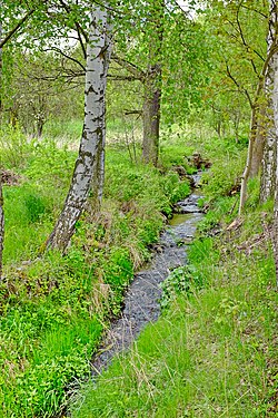 Ve Vykmanově