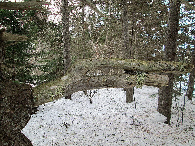 File:Brackley Day-use Park, National Park, PEI (11906300514).jpg