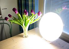 Bright light lamp.jpg