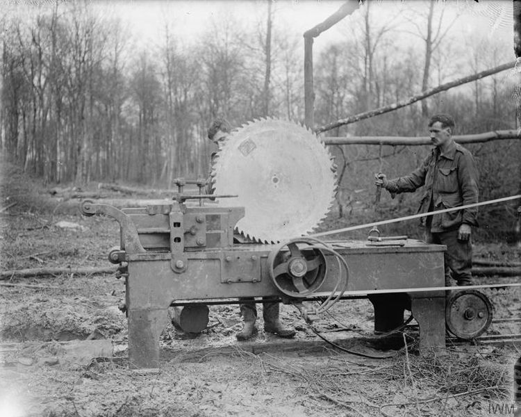 File:British Army on the Western Front, 1914-1918 Q4613.jpg