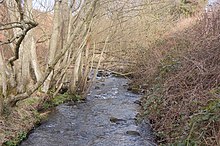 The burn that flows through the town Bucks' Burn - geograph.org.uk - 1195087.jpg