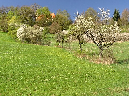 Buehl (Simmelsdorf)