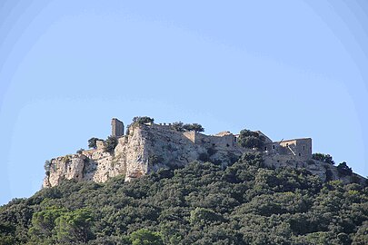 Château de Gicon.