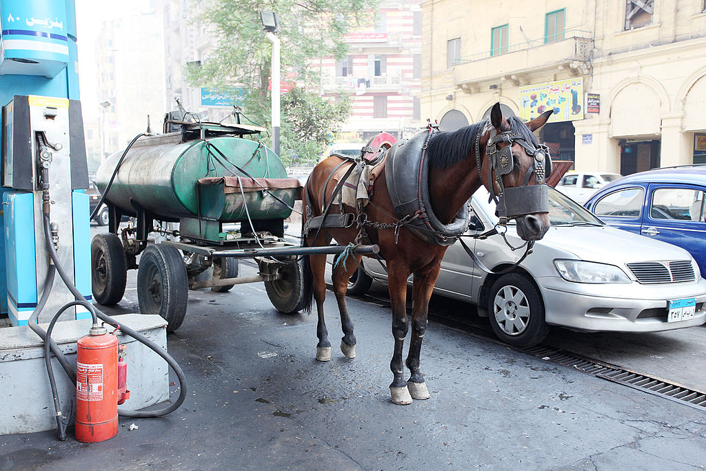 CairoHorseDrawnFuelTransport