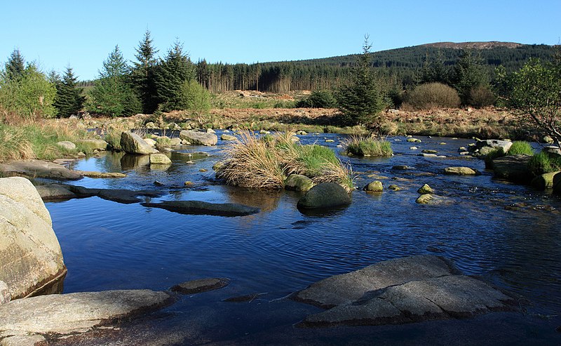 File:Calm Dee - geograph.org.uk - 2705287.jpg