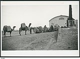 Camel train unloading wool.