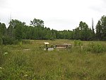 Cedar Bog