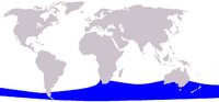 Cetacea range map Pygmy Right Whale.png