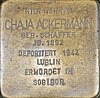 Chaja Ackermann born  Schaffer, Hermannstr.  26, Wiesbaden-Westend.jpg