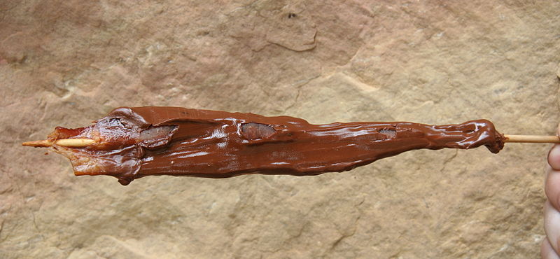 File:ChocolateCoveredBaconStick.jpg