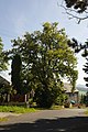 Chuderovec, památný strom lípa v Chuderovci