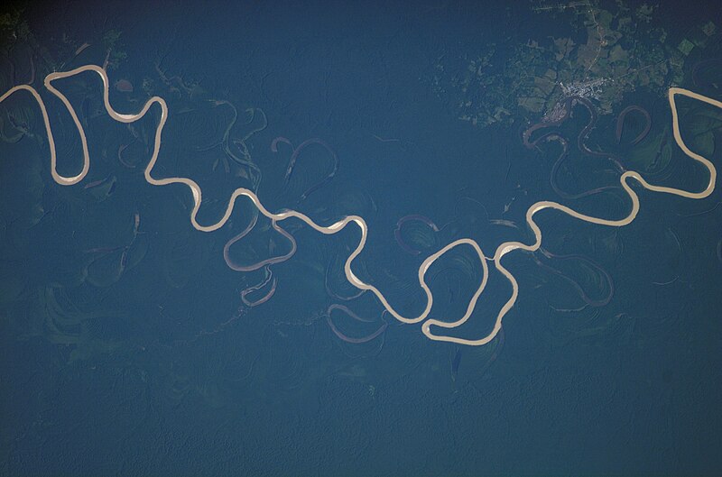 File:City of Carauari, the Juruá River and its tributaries, taken from the International Space Station.jpg