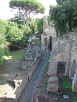 Domus Tiberiana