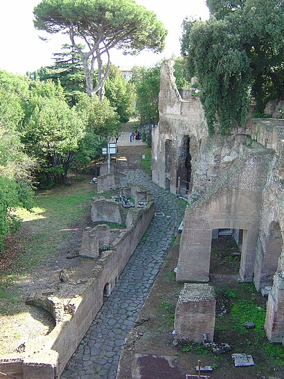 Come arrivare a Domus Tiberiana con i mezzi pubblici - Informazioni sul luogo