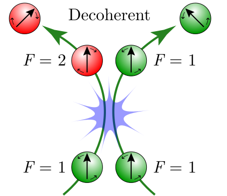 Alkali metal atoms with hyperfine state indicated by color precessing in the presence of a magnetic field experience a spin-exchange collision which preserves total angular momentum but changes the hyperfine state, causing the atoms to precess in opposite directions and decohere. Colliding Atoms.svg