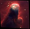 Cone Nebula (NGC 2264) Star-Forming Pillar of Gas and Dust.jpg