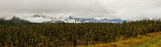 Cordillera de Alaska desde Tok.