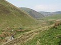 Cow Gill valley - geograph.org.uk - 811985.jpg