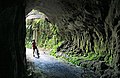 Timber Trail im bogenförmigen Tunnel der Ongarue Spiral