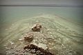 Dead Sea and its salinity.jpg