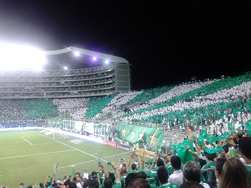 File:Deportivo Cali - millonarios Semifinal 2015-I 16.jpg