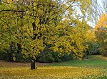 Dichtergarten (Munich)