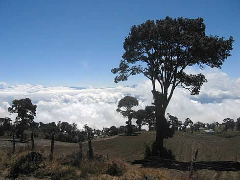 Above the clouds on the way up Volcán Irazú, Costa Rica