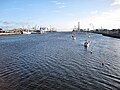 File:Whelan House, Ringsend, Dublin and Statue.jpg - Wikipedia