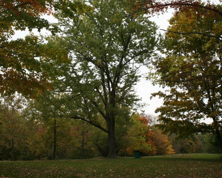 File:Eagle Creek Park in the Fall - 2639311992.jpg