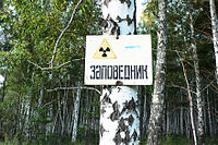 Ecodefense Mayak Exhibition 26 Reserve.jpg