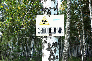 <span class="mw-page-title-main">East Ural Nature Reserve</span> Nature reserve and exclusion zone in Chelyabinsk Oblast, Russia