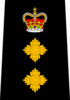 Edmonton Police - Deputy Chief.png