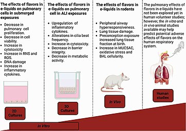 The figure shows the effects of flavors in e-liquids reported in different experimental models