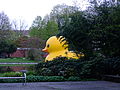 giant "rubber duck"