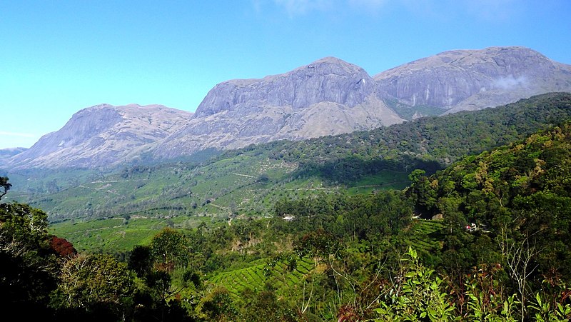 File:Eravikulam National Park, Munnar - panoramio (9).jpg