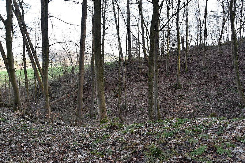 File:Erdfälle am Moosberg bei Ührde 0256.jpg