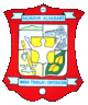 Municipalité de Salvador Alvarado - Armoiries