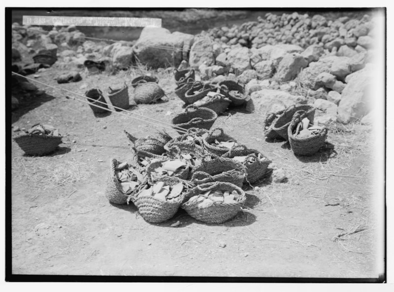 File:Excavations at Tell Beit Mirsim (Kirjath-Sepher) 1926. Collection of precious potsherds LOC matpc.05733.tif