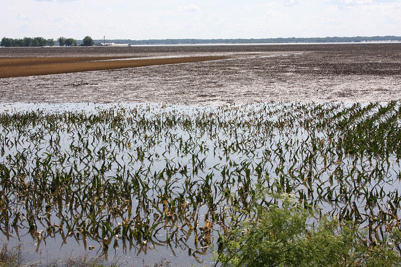 File:FEMA - 36365 - Flooded corn field in Illinois.jpg