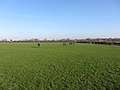 Fields and footpath at Sigingstone - geograph.org.uk - 2764655.jpg