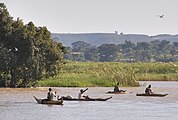 Рибалки на очеретяних човнах танква (Tankwa) на озері Тана на півночі Ефіопії