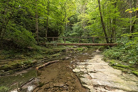 Footbridge Gauchach gorge