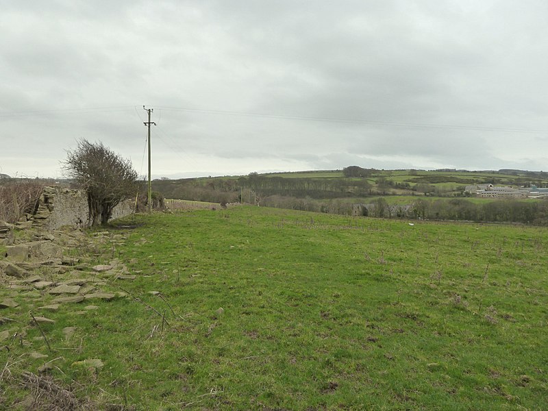 File:Footpath between Gwespyr and Llanasa Road - geograph.org.uk - 4308726.jpg