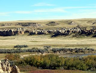 <span class="mw-page-title-main">Foremost Formation</span> Geologic formation in Alberta, Canada